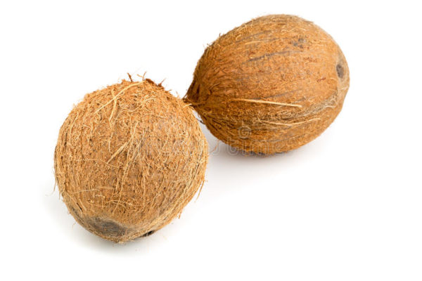 Coconut