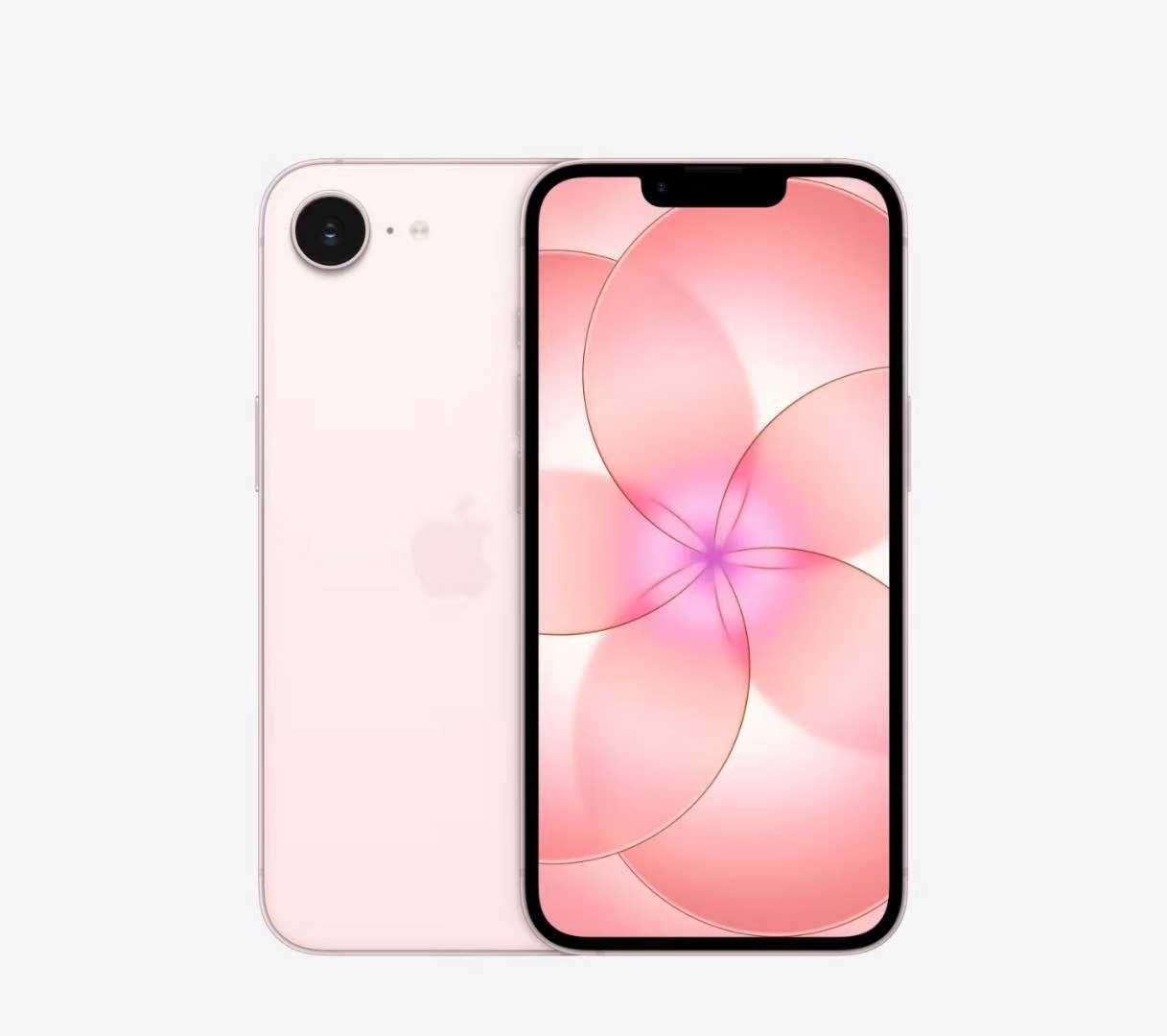 Weixin Image_2026-03-16_095343_848.jpg