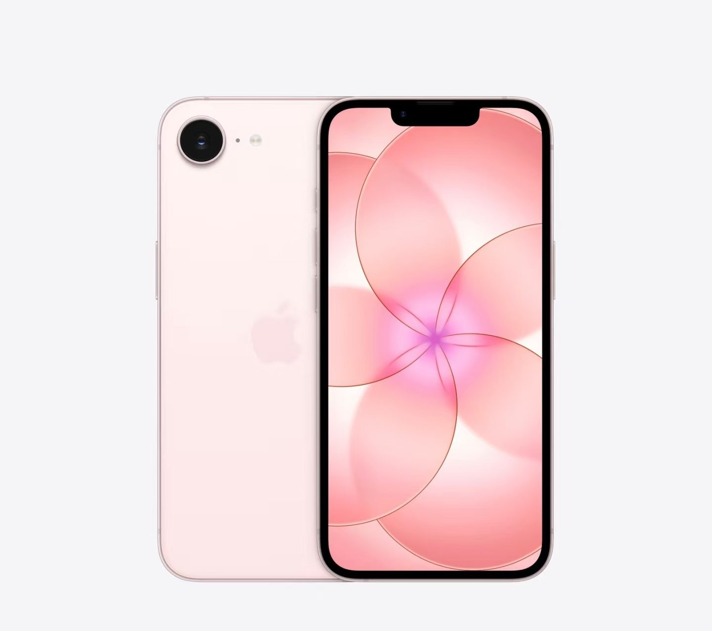 Weixin Image_2026-03-27_080041_521.jpg